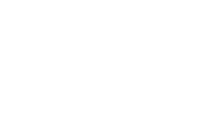 Tui - JDLsourcing